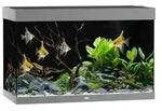 JUWEL&reg; AQUARIUM Rio 290 LED, 290 l