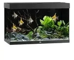 JUWEL&reg; AQUARIUM Rio 290 LED, 290 l