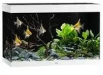 JUWEL&reg; AQUARIUM Rio 290 LED, 290 l