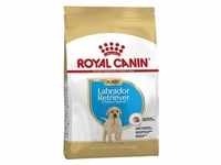 ROYAL CANIN® Trockenfutter für Hunde Labrador Retriever P...