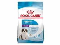 ROYAL CANIN® Trockenfutter für Hunde Giant Puppy, 15 kg
