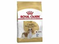 ROYAL CANIN® Trockenfutter für Hunde Cavalier King Charle...