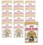 ROYAL CANIN&reg; Nassfutter f&uuml;r Katzen Maine Coon Adult in So&szlig;e, 12 x 85 g