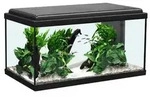 aquatlantis Aquarium Advance 60 LED Set, Schwarz