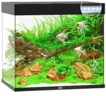 JUWEL&reg; AQUARIUM Lido 200 LED, Schwarz