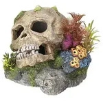 Nobby Aquariumdeko Totenkopf mit Pflanzen, ca. B13,5/H10,5/T13,5 cm