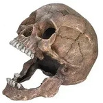 Nobby Aquariumdeko Totenkopf, ca. B20/H16,5/T13,5 cm
