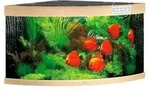 JUWEL&reg; AQUARIUM Trigon 350 LED, Hellbraun