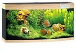 JUWEL&reg; AQUARIUM Vision 260 LED, Hellbraun