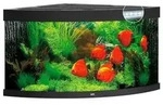 JUWEL&reg; AQUARIUM Trigon 350 LED, Schwarz