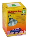 Lucky Reptile W&auml;rmestrahler Halogen Sun