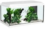 aquatlantis Aquarium Advance 60 LED Set, Wei&szlig;
