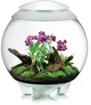 biOrb&reg; Terrarium AIR 60, Wei&szlig;