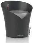 LECHUZA&reg; ORCHIDEA, All-in-One Set, ca. &Oslash;18/H20 cm, Dunkelgrau