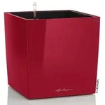 LECHUZA&reg; CUBE, All-in-One Set, Dunkelrot