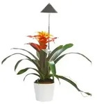 Venso LED-Pflanzenlampe, Dunkelgrau