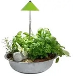 Venso LED-Pflanzenlampe, Hellgr&uuml;n