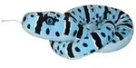 WILD REPUBLIC&reg; Stofftier Klapperschlange Blue Rock, Blau