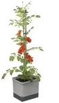 Gusta Garden Tomatentopf Tom Tomato, ca. B35/H135/T28 cm, Hellgrau