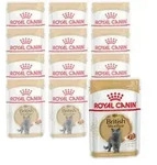 ROYAL CANIN&reg; Nassfutter f&uuml;r Katzen British Shorthair in So&szlig;e, 12 x 85 g