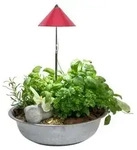 Venso LED-Pflanzenlampe, Rot