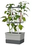 Gusta Garden Chili-Pflanztopf Charly Chili, ca. B35/H69/T28 cm, Hellgrau