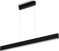 Philips 929003052501, Philips Hue Ensis Pendelleuchte - schwarz - 2 x 39 Watt 24 Volt