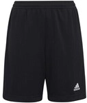 adidas Shorts Kinder Ent22 Tr Shoy