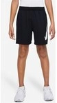 Nike Shorts Kinder DX5361010