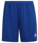 adidas Shorts Entrada 22