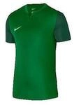 Nike Badeshorts Dri-Fit Trophy V