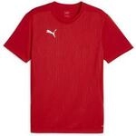 Puma T-Shirt Teamfinal