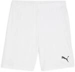 Puma Shorts Teamgoal
