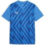 Puma Sport T-Shirts Teamglory Jersey Jr