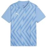 Puma T-Shirts & Poloshirts Teamglory Jersey Jr