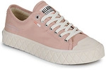 Palladium Sneaker PALLA ACE CVS ORG