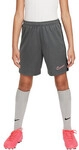 Nike Shorts Kinder DX5476