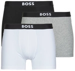 BOSS Boxer BoxerBr 3P Boss Icon
