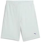 Puma Shorts 684715