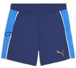 Puma Shorts 94751603