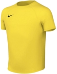 Nike T-Shirt Park VIII Junior