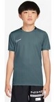 Nike T-Shirts & Poloshirts HJ3716382