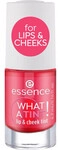 Essence Blush & Puder Fl&uuml;ssiges Rouge f&uuml;r Wangen und Lippen, What a Tint! - 0