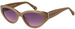 Superdry Sonnenbrillen SDS 5013 172 52
