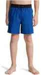 Quiksilver Badeshorts EQBJV03538-BYC6