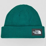 The North Face M&uuml;tze SALTY LINED BEANIE