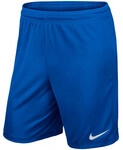 Nike Shorts Kinder Dry-Fit
