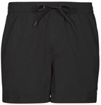 Quiksilver Badeshorts EVERYDAY VOLLEY