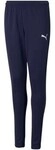 Puma Hosen Teamrise Poly Training Jr