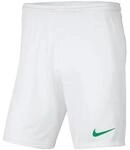Nike Shorts Park III